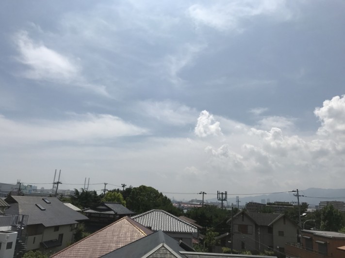 本日は晴れです!