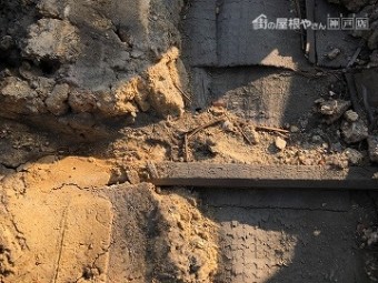 瓦を捲ると下から湿った土が出て来た