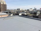 IMG_8357