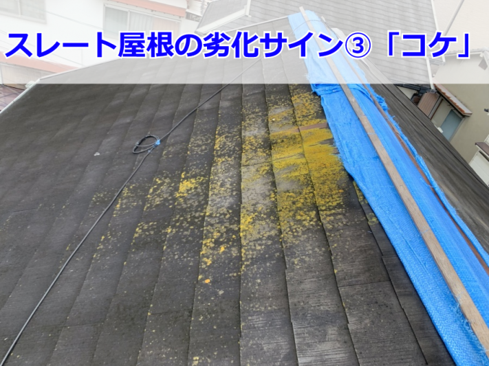 コケが生えたスレート屋根