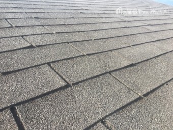 雨漏り現調 マンション屋上の調査