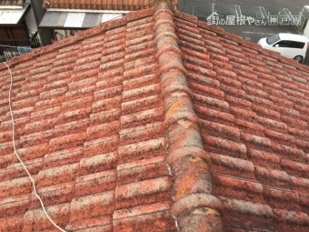 屋根葺き替え調査