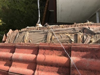 屋根下地のケラバ部分はかなり腐食している状態です。