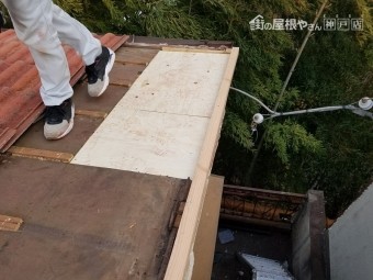 垂木に野地板を新設します。