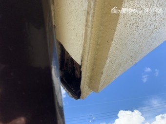 神戸市北区 雨樋の脱落、鼻隠しの捲れ