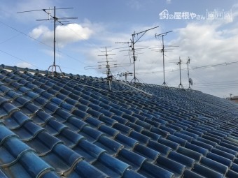 青緑色の釉薬瓦の屋根
