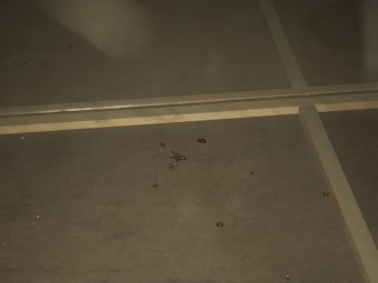 屋根裏点検