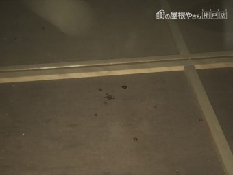 屋根裏点検