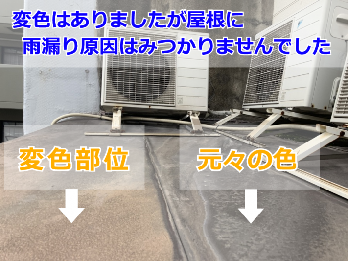 雨漏り調査(屋根)