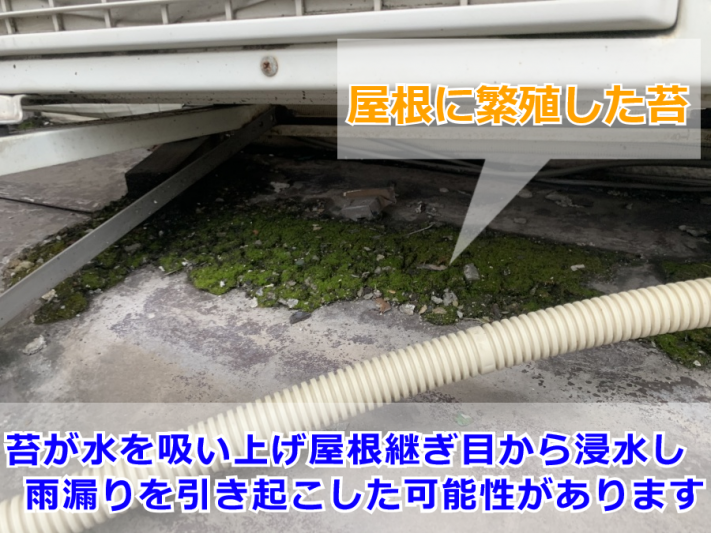 雨漏り調査(屋根上の室外機下部)