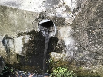 こんな汚れが屋根にはついています。