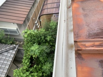 雨樋調査時の樋のひび割れ