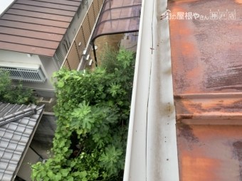 東灘区 雨樋調査 樋のひび割れ
