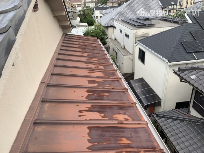 東灘区 雨樋調査 瓦棒サビ