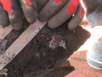 アスファルトシングル はがれ 調査