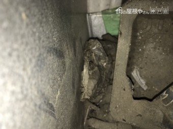 集水器ごみ