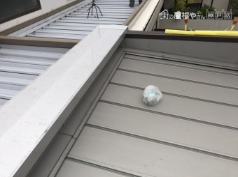 屋根にゴミ