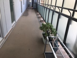 施工前塩ビシート
