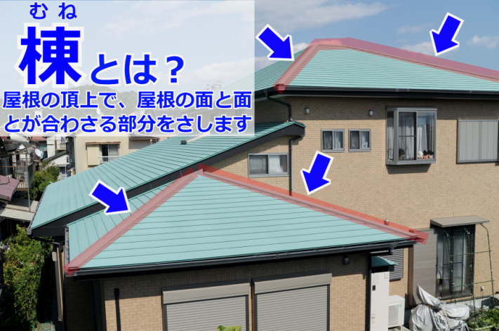 雨漏りの原因となりやすい棟とはどこをさすのか?解説図