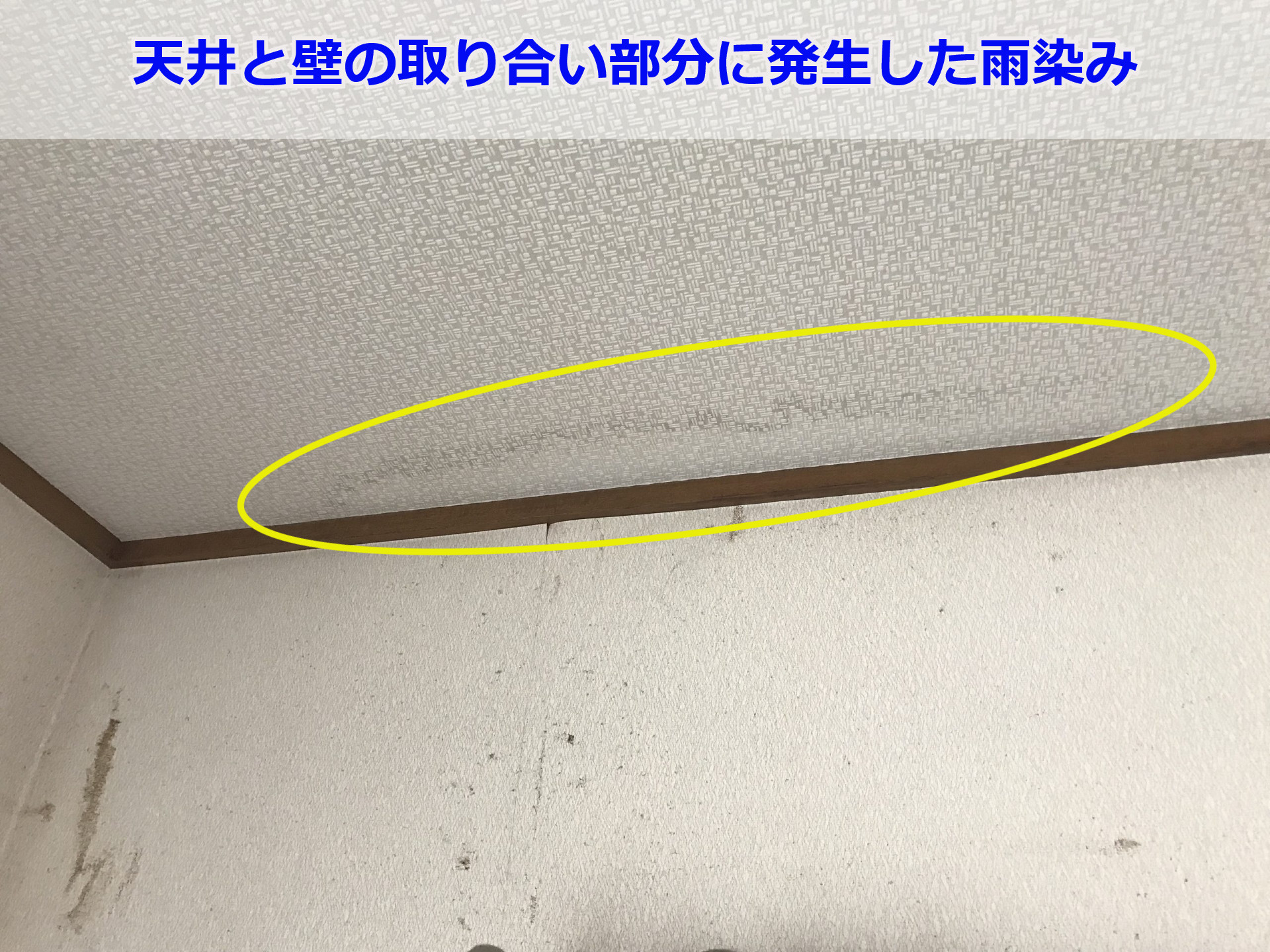 神戸市須磨区で大量の雨漏り 原因となった屋上の排水状態とは 神戸市で屋根工事 雨漏り補修なら街の屋根やさんにお任せください