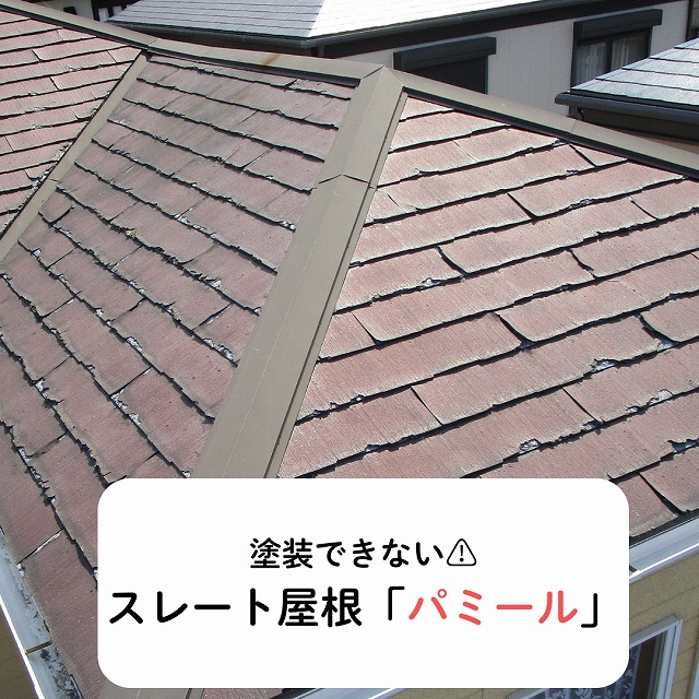 パミール　塗装　できない