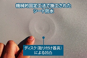 塩ビシート　機械的固定法　固定ディスク