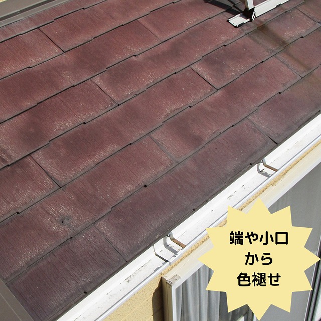 パミール　色褪せ