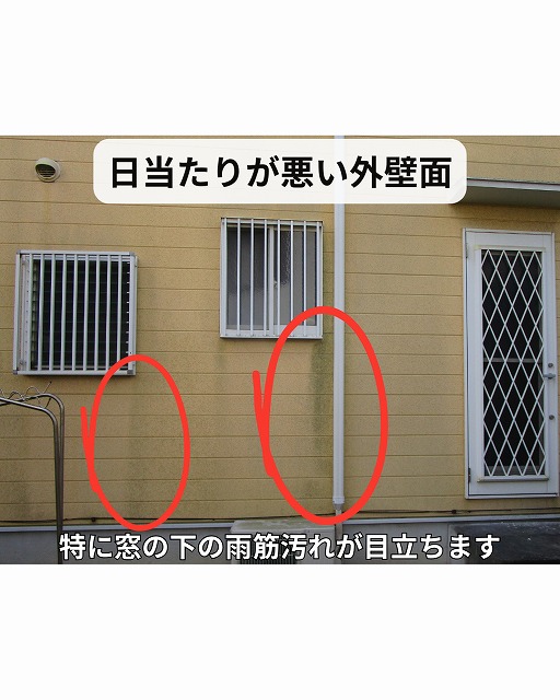 神戸市西区で外壁の現場調査、日当たりの悪い面に苔とカビ、窓下の雨筋汚れを確認