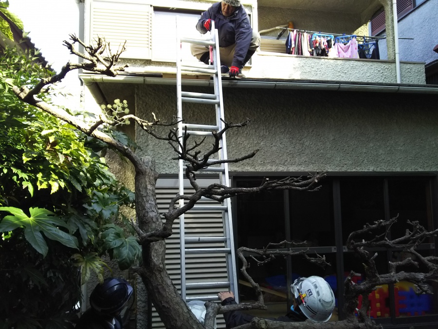 屋根に上るための梯子を設置