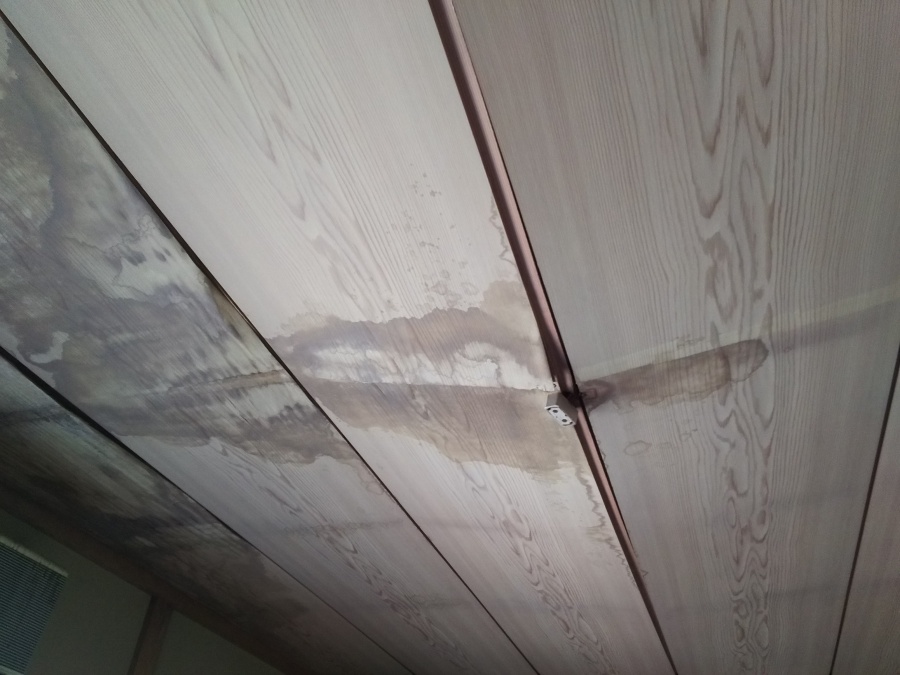 雨漏り箇所調査　天井ヵら雨染み