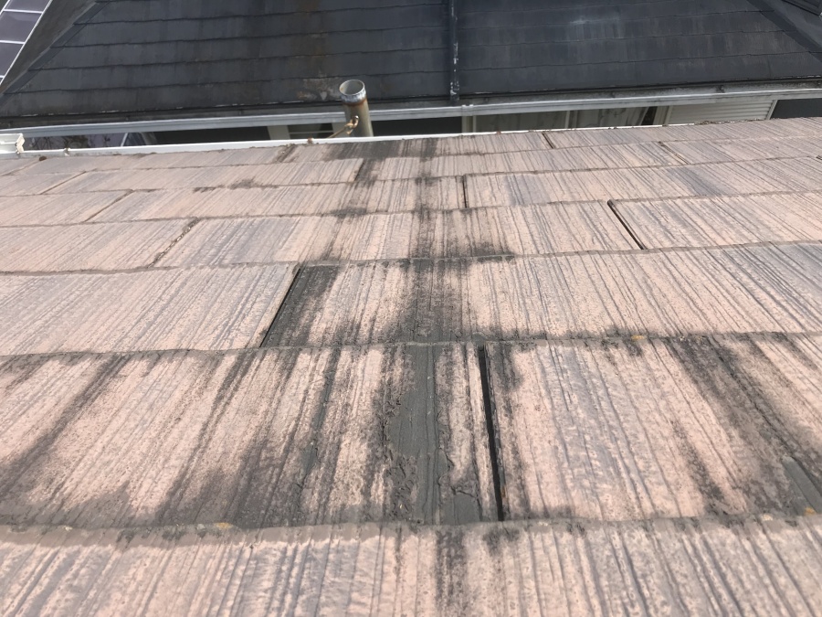 屋根塗装前　塗膜の剥がれ