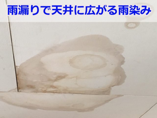 神戸市東灘区　屋上からの雨漏りを解決する防水工事とは？