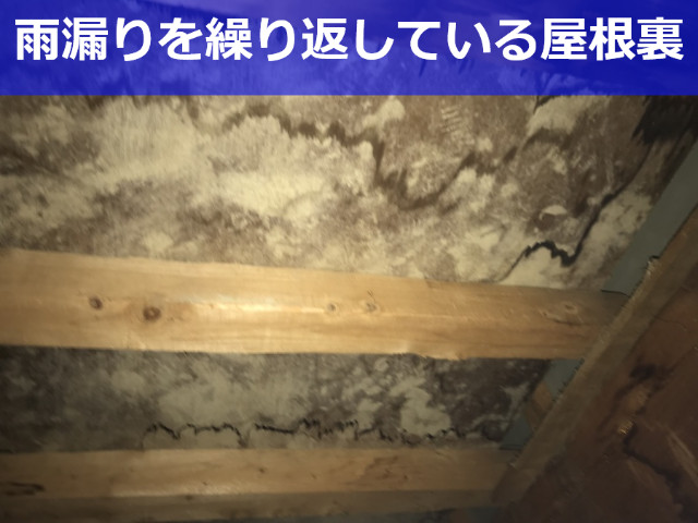 神戸市西区　7年前の補修が効かず繰り返す雨漏りの原因を調査！