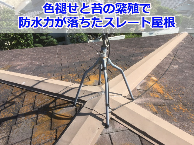 神戸市西区でオススメの屋根塗装・外壁や雨戸塗装なら！費用や工程をレポート！