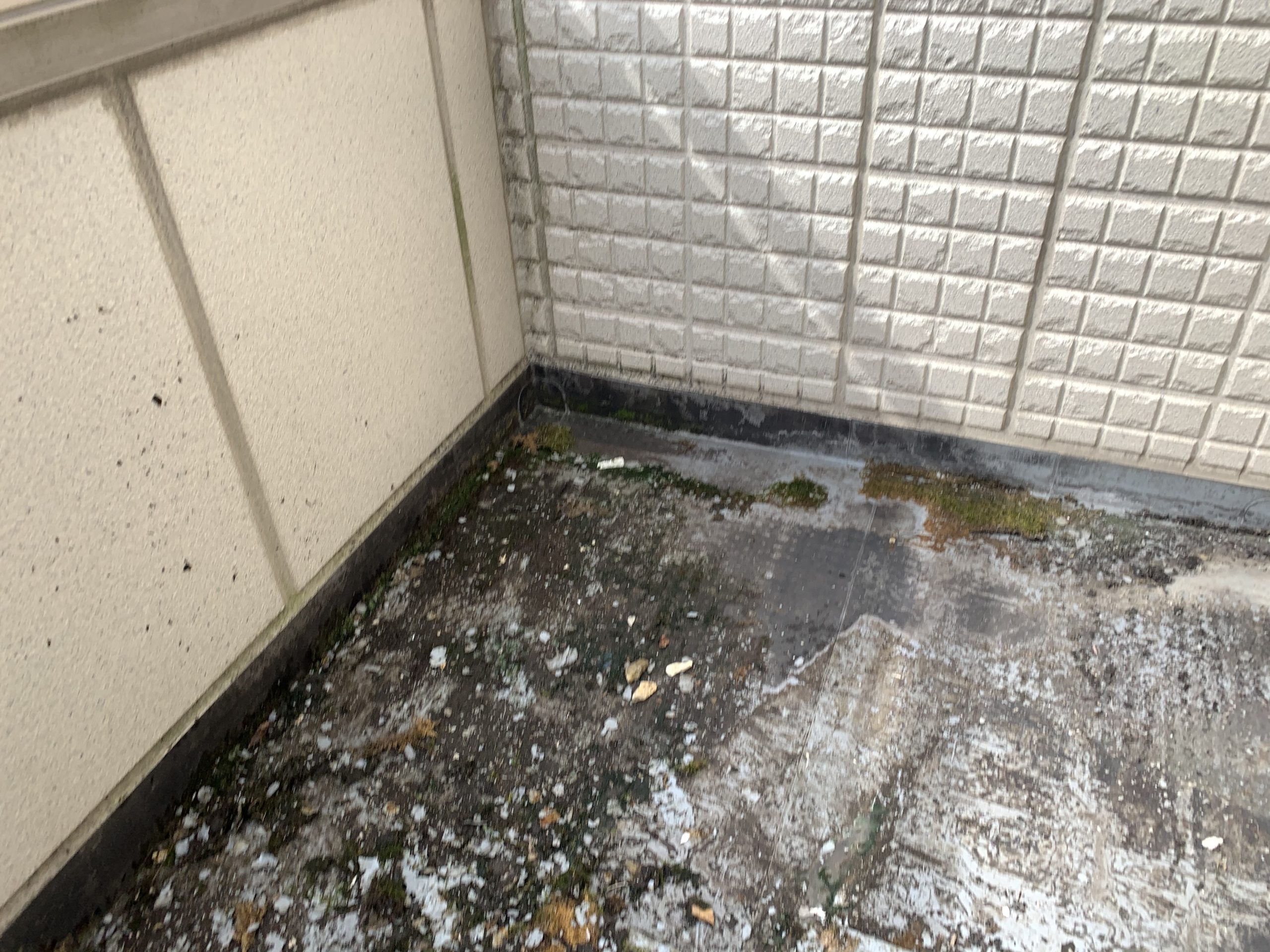 芦屋市 陸屋根からの雨漏りを未然に防ぐメンテナンス工事！