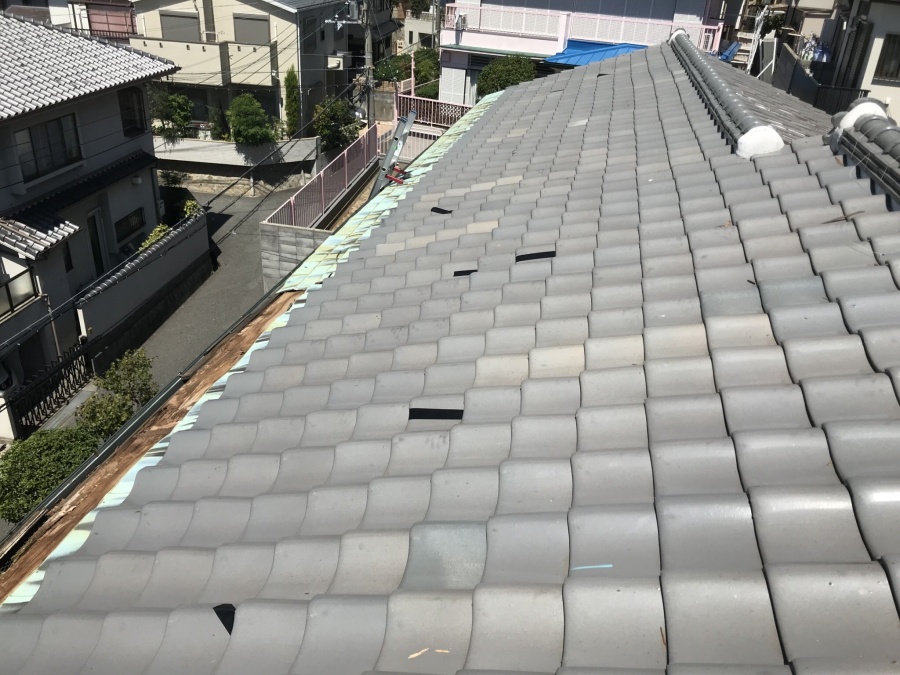 銅板葺きの屋根