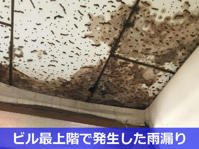 神戸市中央区で雨漏り相談なら！部分補修でお悩み改善【瓦・窓・屋上】