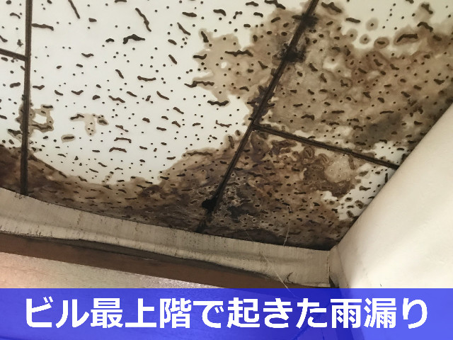 神戸市中央区　屋上からの雨漏り修繕費用とは？防水工事の工程を解説します