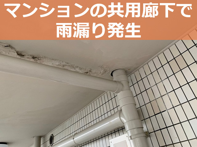 神戸市垂水区　マンションの雨漏り防水調査！原因は上階廊下にありました