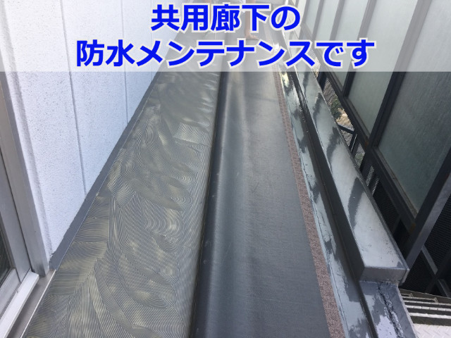 神戸市灘区　共用廊下の防水メンテナンス！防滑性のある安心のシート防水とは？