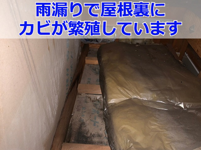 神戸市兵庫区で評判の雨漏り相談！プロがお住まいに向かい雨漏り原因特定します