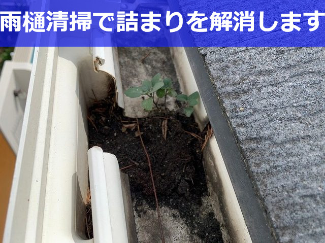 神戸市灘区　雨樋詰まりを解消！高所の雨樋メンテナンスはプロに任せましょう