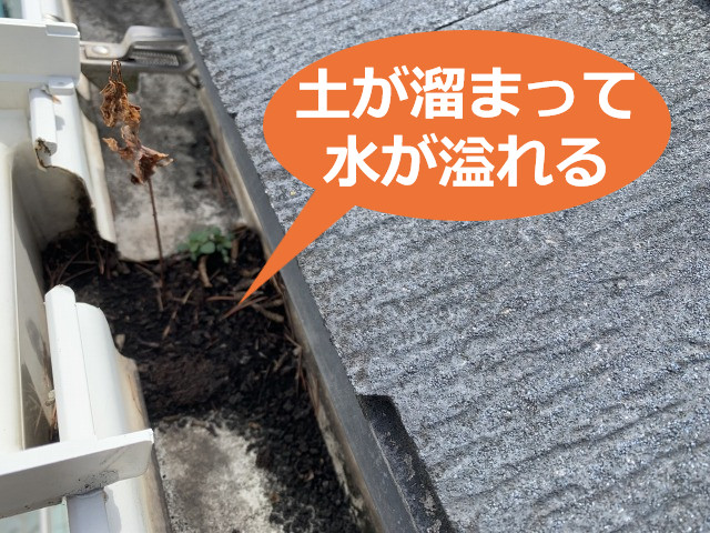 神戸市灘区で雨樋詰まりの点検！水が溢れる雨樋のメンテナンス方法を解説！