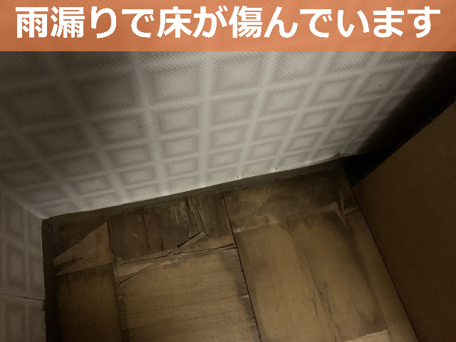 神戸市中央区で雨漏り調査！室内天井から床まで出来た雨染みの原因を調査しました