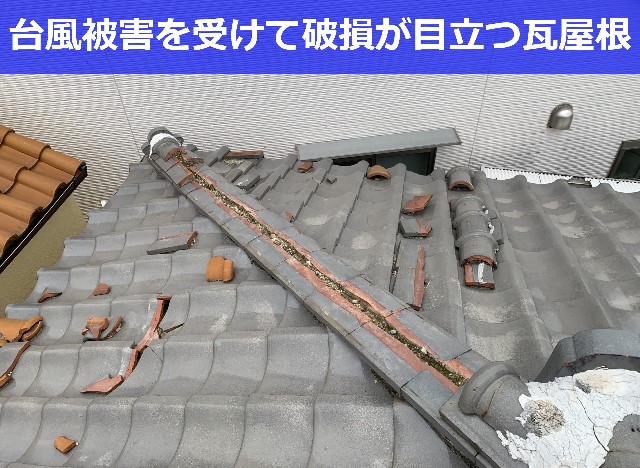 宝塚市で瓦屋根修理前調査！雨漏りする瓦屋根の徹底調査で原因を突き止めました