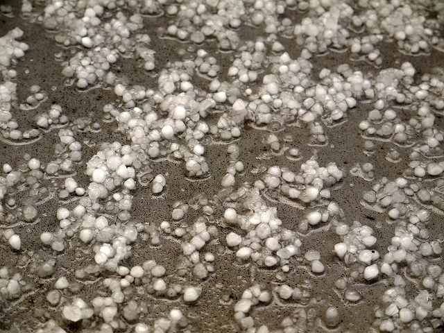 雹　雹被害