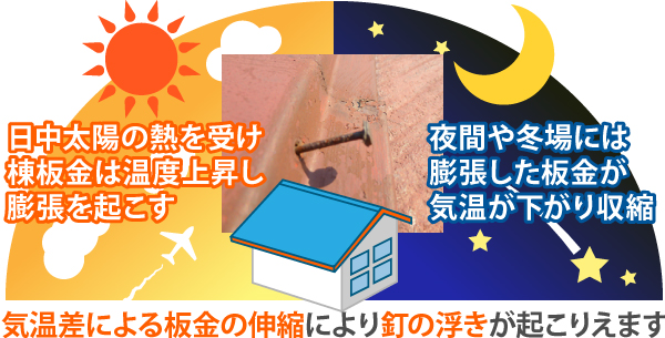 棟板金は日中太陽の熱を受けて温度が上昇し膨張、反対に夜間や冬場には気温が下がることで収縮するなど、気温差による板金の伸縮により釘の浮きが起こりえるのです
